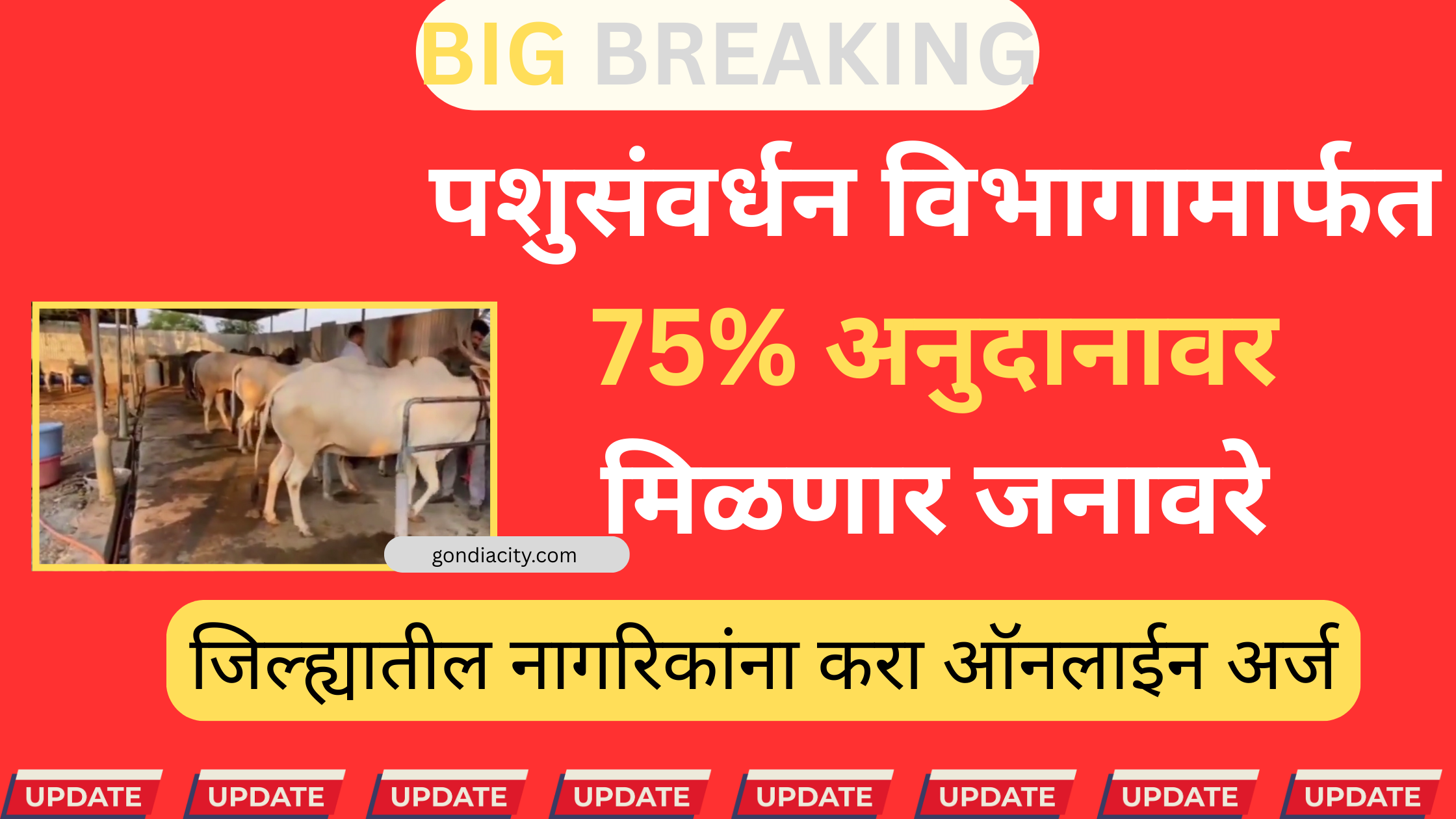 गोंदिया पशुसंवर्धन योजनेअंतर्गत गाय वाटप